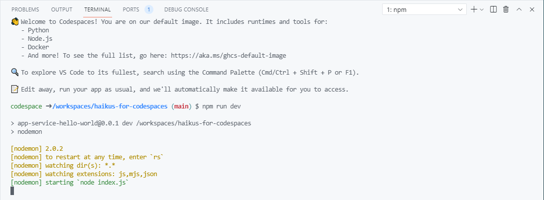 npm run dev in terminal