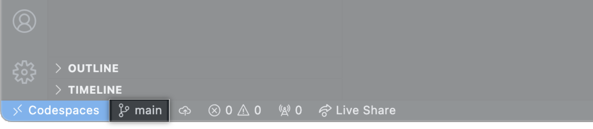 The branch in the status bar