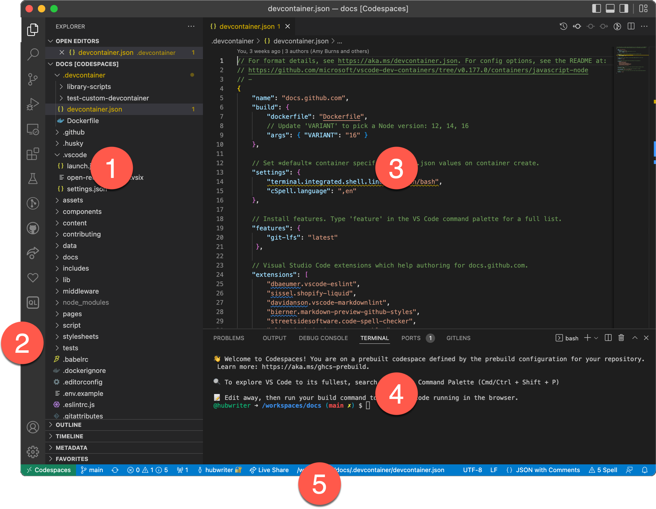 Annotated screenshot of a codespace in VS Code