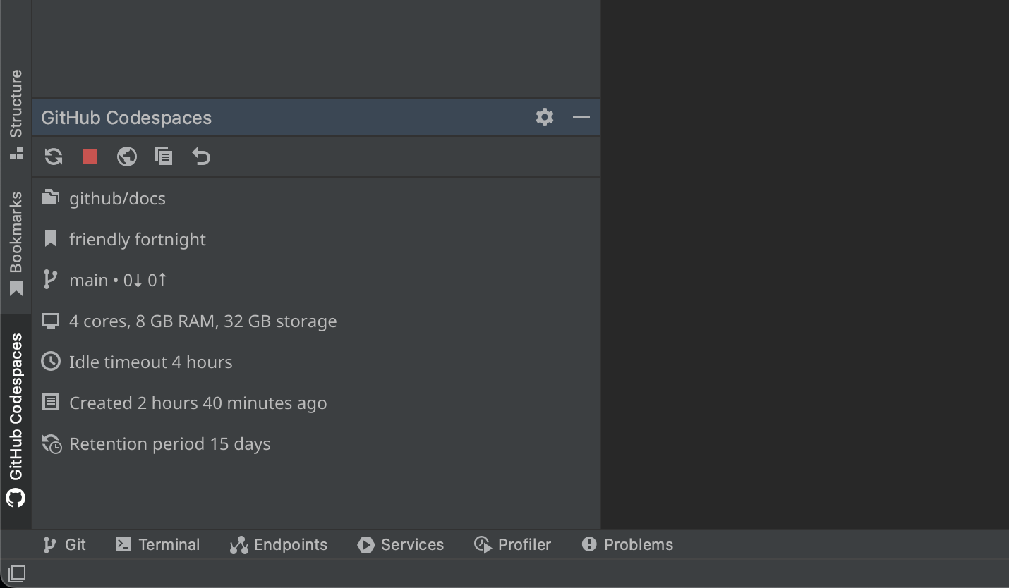 Screenshot of the {% data variables.product.prodname_github_codespaces %} tool window