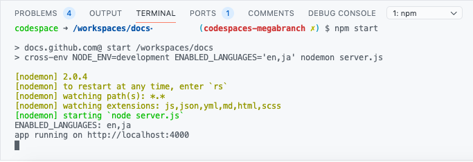 npm start in terminal