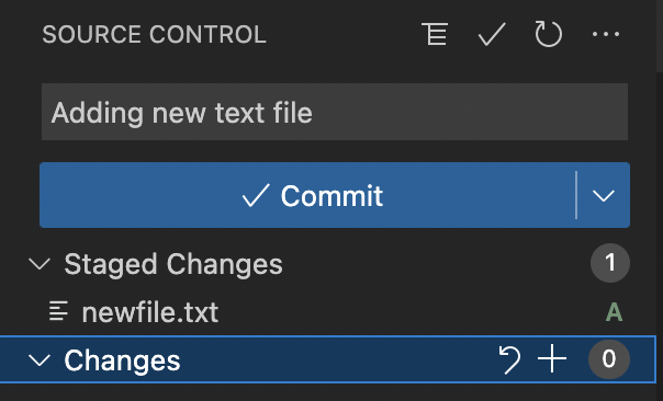 Source control side bar with a commit message