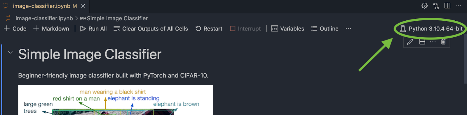 Screenshot of the Python kernal link
