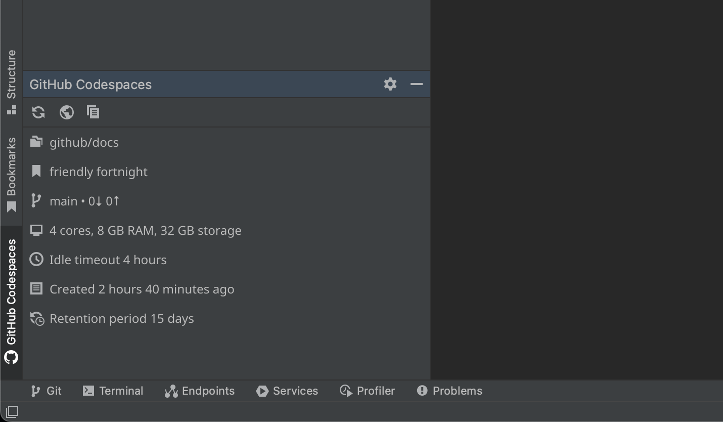Screenshot of the {% data variables.product.prodname_github_codespaces %} tool window